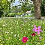 Tatil Evi Ecrin De Verdure Entre Foret Et Ocean *